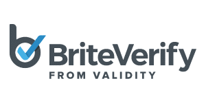 Briteverity platform for data-driven email verification and list validation for businesses.